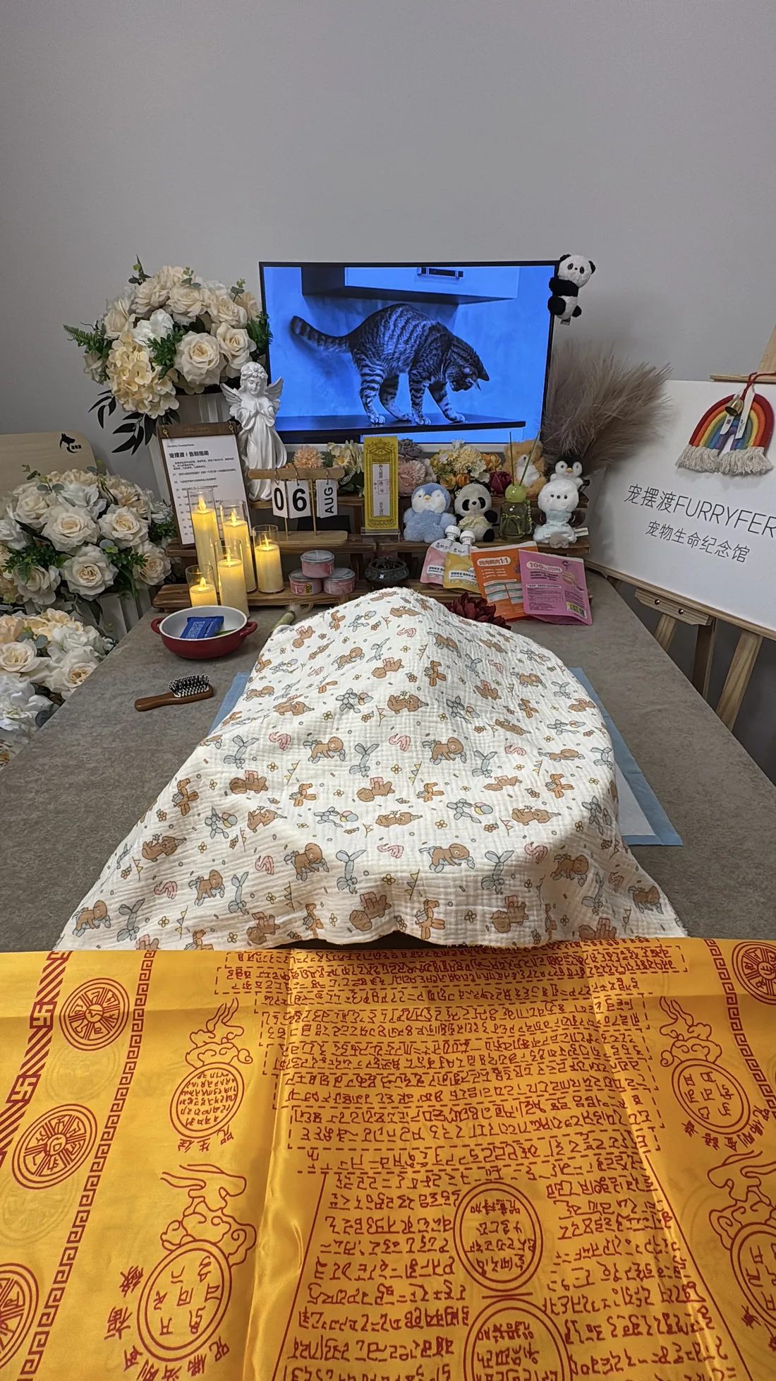 芜湖宠物告别仪式中的鲜花与纪念照片